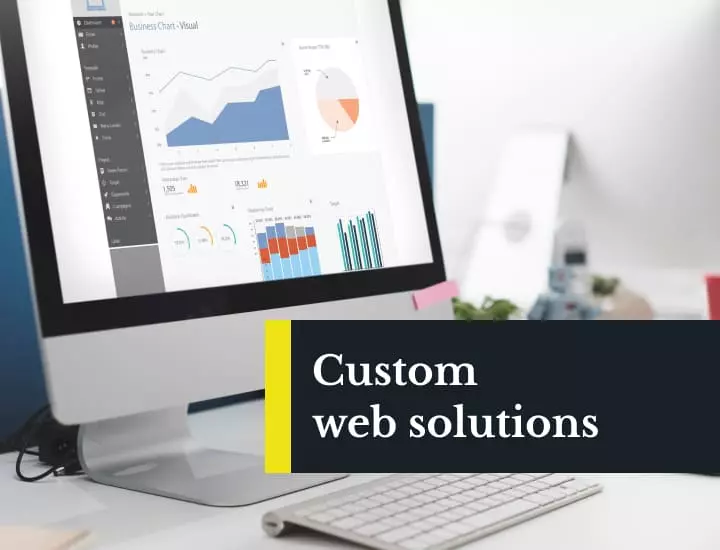 Custom web solutions