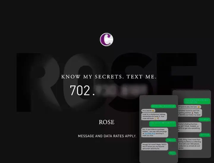 chatbot Rose